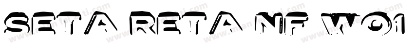 Seta Reta NF WO1 Reg字体转换